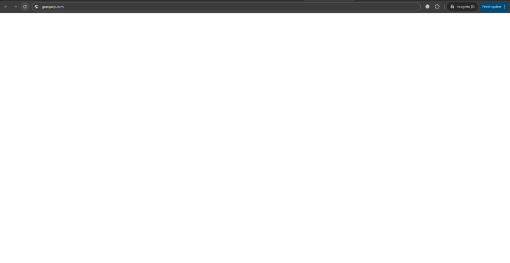 common wordpress errors